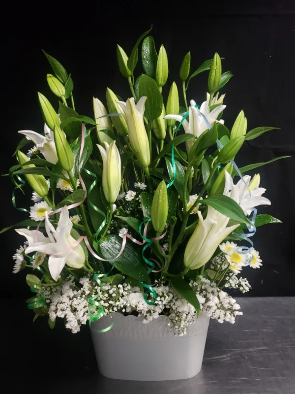 A bouquet of white lilies and daisies with green leaves and decorative ribbons, arranged in a light gray pot against a dark background.